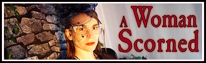 A Woman Scorned - Erotic Executrix Thriller